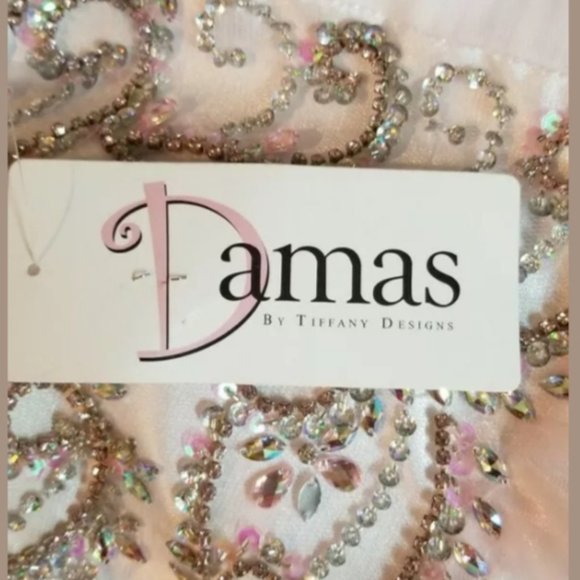 Damas by Tiffany Designs Dress (XL) - Picture 1 of 10